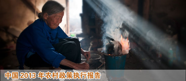 中國農村政策執(zhí)行報告