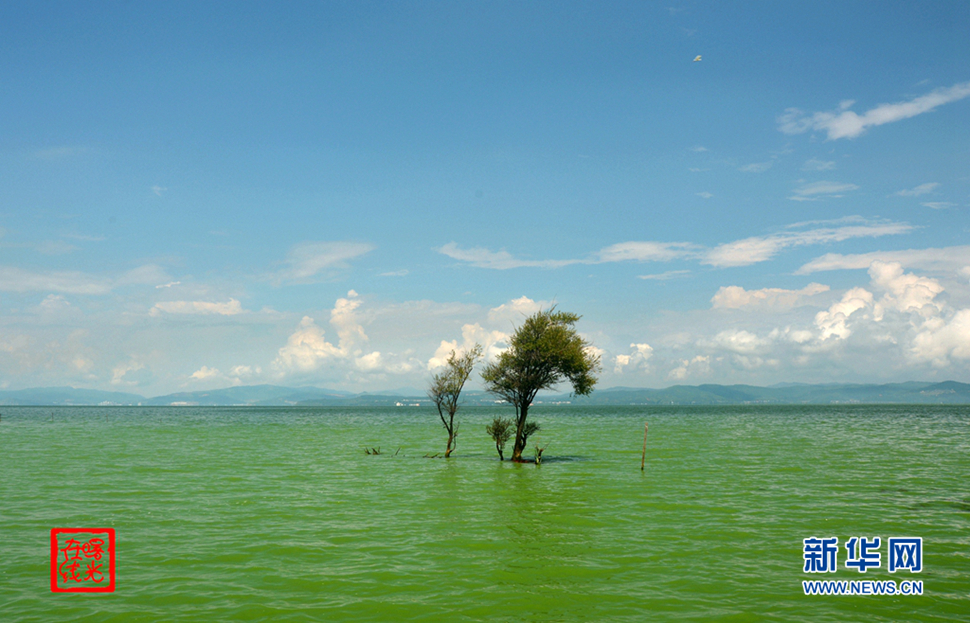 陽(yáng)光昆明，爽爽的春城