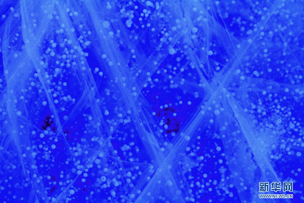 氣泡冰亮晶晶，藍(lán)精靈賽繁星