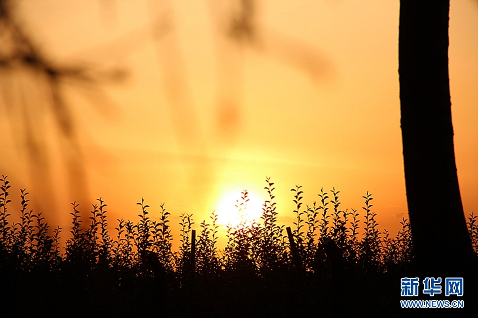 日落西山頭，人約黃昏后