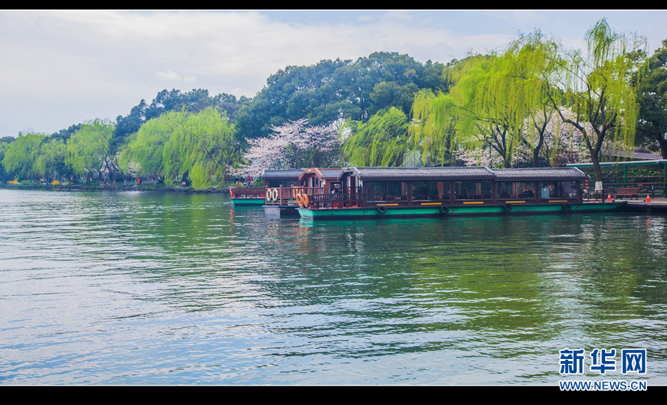 聽風西湖柳，聞香龍井茶
