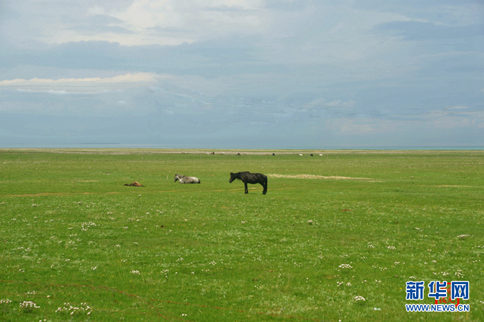 高原放歌之那山、那寺、那朵云