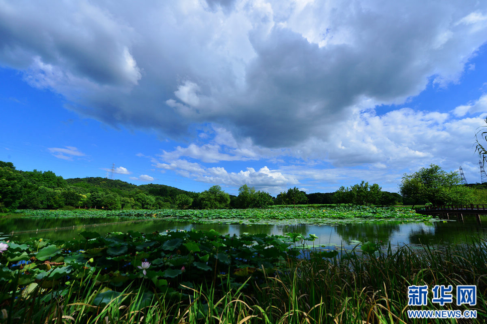 秋高氣爽，行攝八掛田