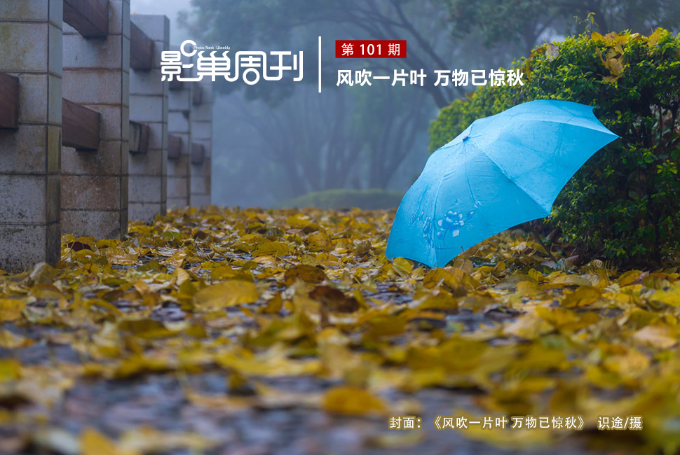 風(fēng)吹一片葉 萬物已驚秋