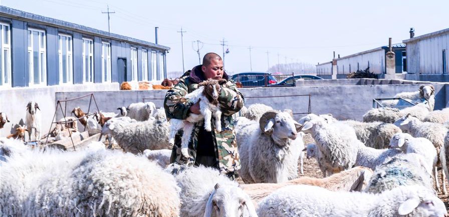 易地搬遷讓村民“住得好、能致富”