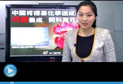 權(quán)威聲音：“快時代”究竟還有什么可以速成？