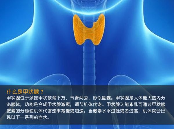 關(guān)注甲狀腺健康，你應(yīng)該知道的那些事
