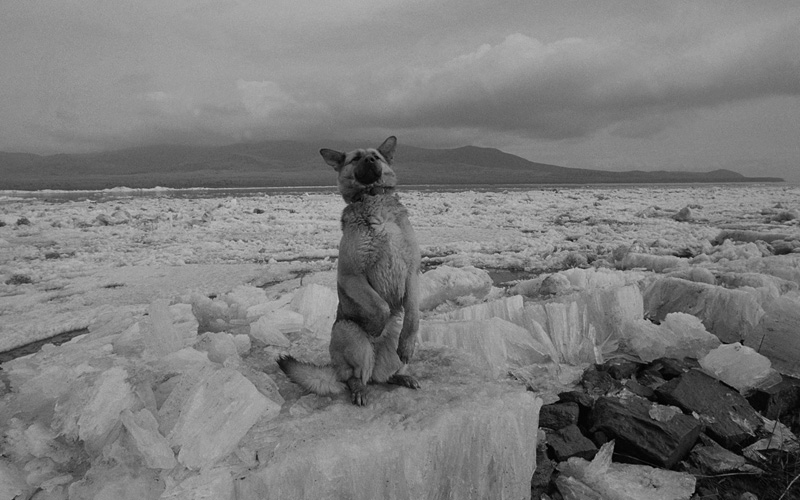 線云強(qiáng)作品:東方第一哨，最早迎接太陽(yáng)的士兵