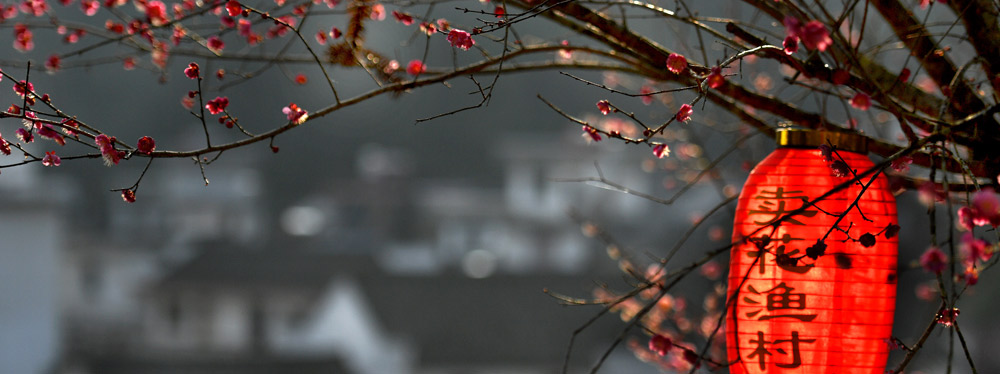 春來花開，綻放正當(dāng)時(shí)