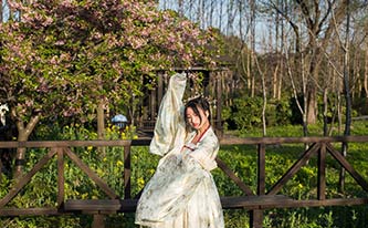 徜徉櫻花花海，來場動(dòng)漫之旅