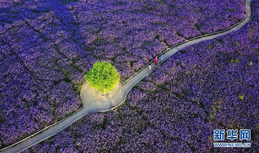 （十九大&middot;讀報告 話民生）（7）加快生態(tài)文明體制改革，建設(shè)美麗中國