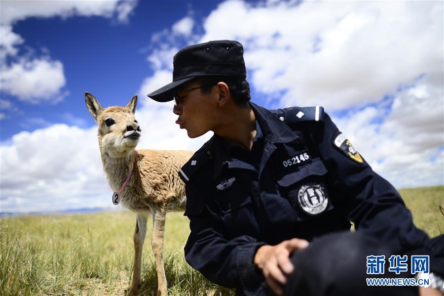 （十九大&middot;讀報告 話民生）（8）加快生態(tài)文明體制改革，建設(shè)美麗中國