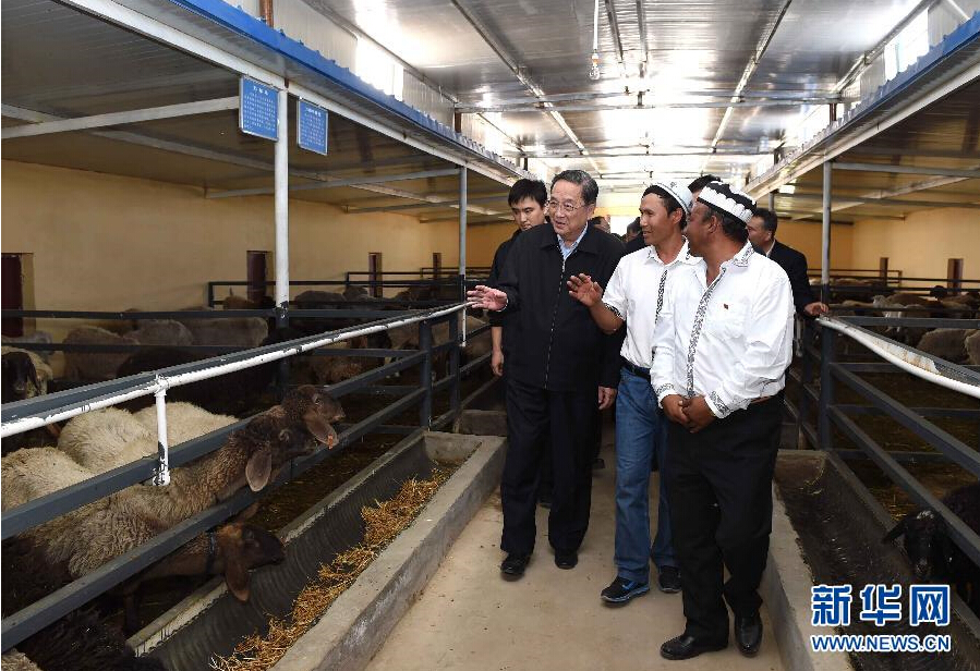 9月27日，中共中央政治局常委、全國(guó)政協(xié)主席、中央代表團(tuán)團(tuán)長(zhǎng)俞正聲率中央代表團(tuán)部分成員赴喀什地區(qū)莎車縣看望各族干部群眾。這是俞正聲在新疆生產(chǎn)建設(shè)兵團(tuán)第三師莎車農(nóng)場(chǎng)實(shí)地察看萬(wàn)只羊養(yǎng)殖基地。新華社記者 饒愛(ài)民 攝