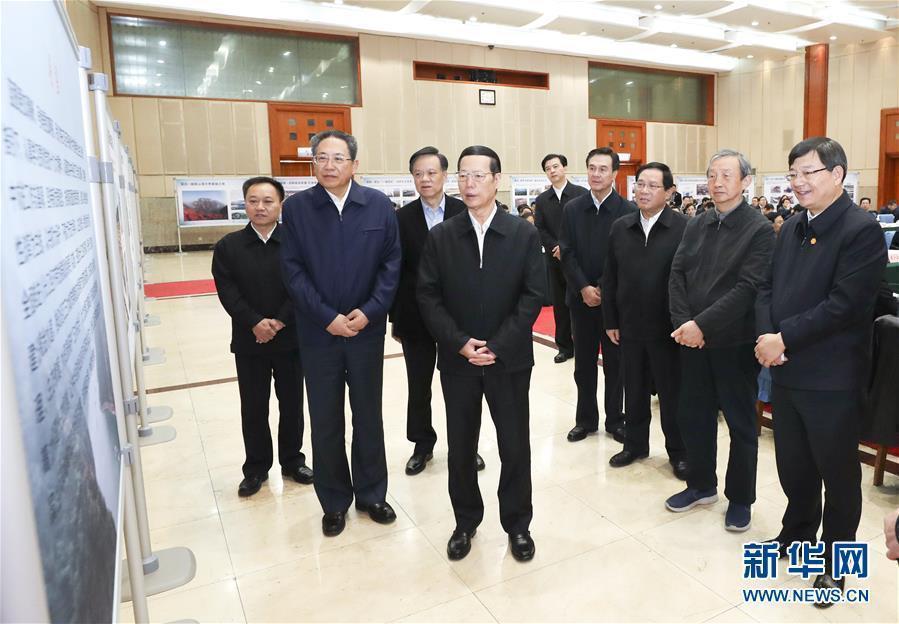 1月9日至10日，國務(wù)院副總理張高麗在安徽調(diào)研推動長江經(jīng)濟(jì)帶發(fā)展工作。這是1月10日，張高麗主持召開推動長江經(jīng)濟(jì)帶發(fā)展工作會議前聽取介紹。新華社記者 龐興雷 攝
