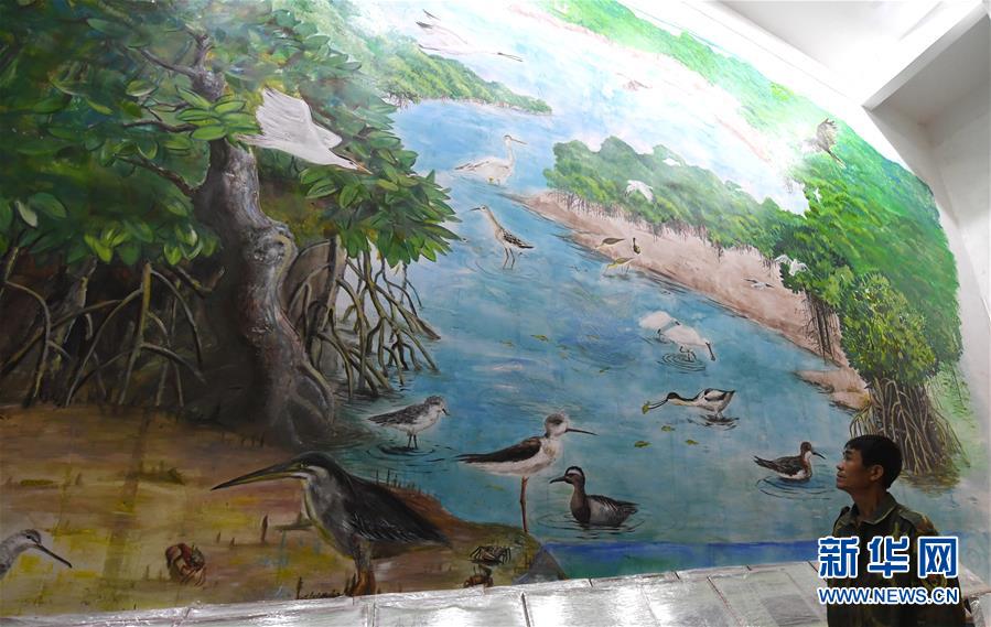 （圖文互動）（5）十年樹木、紅樹成林&mdash;&mdash;&ldquo;海上森林&rdquo;回歸記