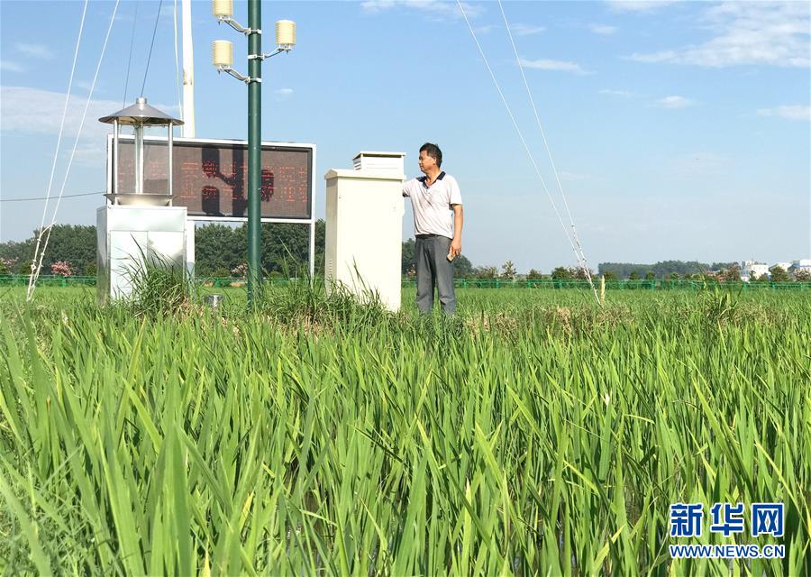 （新華全媒頭條·紀(jì)念改革開放40年特稿·圖文互動(dòng)）（6）向著新航程揚(yáng)帆奮進(jìn)！——從小崗精神看中國改革開放40年
