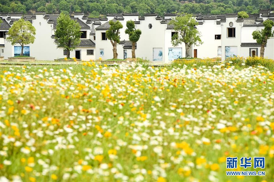 （新華全媒頭條&middot;搶救古民居&middot;圖文互動）（2）當古民居遇上城鎮(zhèn)化，如何留住鄉(xiāng)愁？