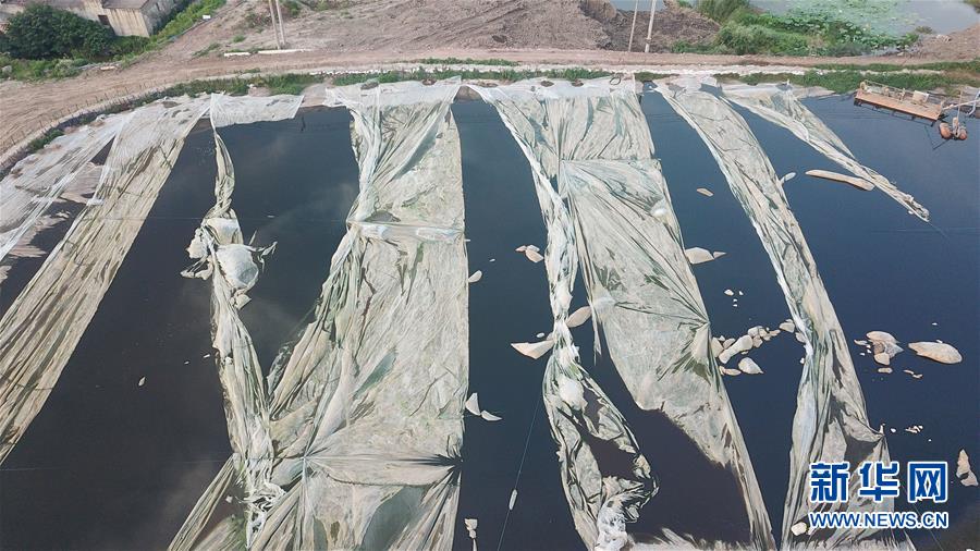 （新華視點(diǎn)&middot;圖文互動(dòng)）（4）中央督察兩年有的絲毫未改，有的不減反增&mdash;&mdash;江蘇泰興數(shù)萬噸化工廢料和污泥堆放長(zhǎng)江邊調(diào)查