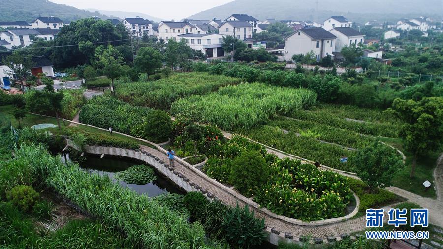 （在習(xí)近平新時(shí)代中國特色社會(huì)主義思想指引下&mdash;&mdash;新時(shí)代新作為新篇章&middot;圖文互動(dòng)）（1）稀奇！治污濕地成了休閑公園&mdash;&mdash;江蘇蘇州全域推進(jìn)農(nóng)村生活污水治理