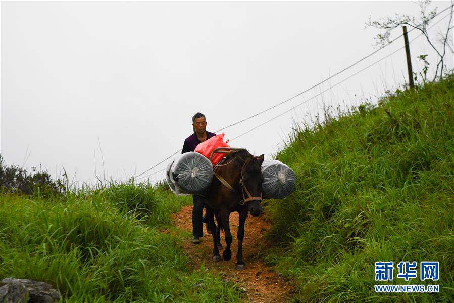 （新華全媒頭條&middot;圖文互動(dòng)）（4）一個(gè)人，一座山&mdash;&mdash;劉真茂的生命守望