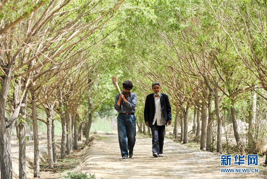 （新華全媒頭條&middot;誠信建設(shè)萬里行&middot;圖文互動）（3）一諾動昆侖&mdash;&mdash;父子半世紀(jì)接力為英雄守靈