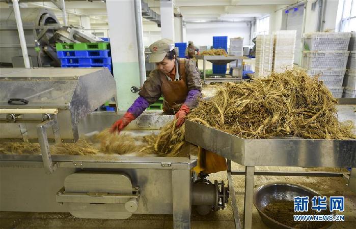 （百城百縣百企調(diào)研行&middot;圖文互動）（5）吉林集安：邊陲&ldquo;綠色明珠&rdquo;為何如此閃亮？