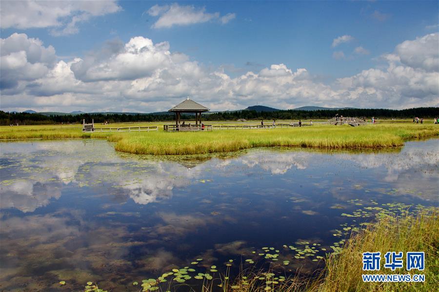 （新華全媒頭條·圖文互動(dòng)）（2）那一抹綠色，走進(jìn)越來(lái)越多人心里——河北塞罕壩續(xù)寫(xiě)新時(shí)代綠色傳奇