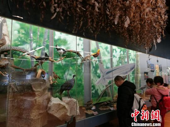 圖為展覽現(xiàn)場。　胡遠(yuǎn)航 攝