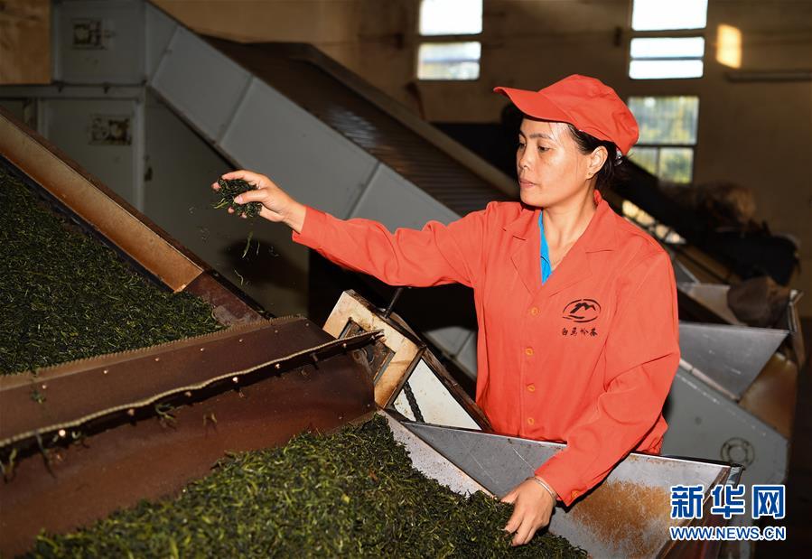 （奮進(jìn)新時(shí)代&middot;迎接兩會(huì)）（2）開放發(fā)展&mdash;&mdash;推動(dòng)形成全面開放新格局