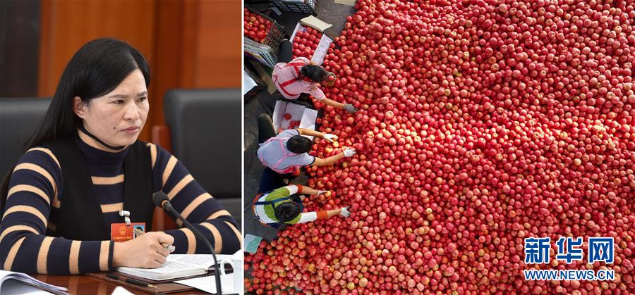 （兩會(huì)&middot;影像鏈接）全國(guó)人大代表曾云英：新型農(nóng)業(yè)將迎來(lái)高質(zhì)量發(fā)展的機(jī)遇