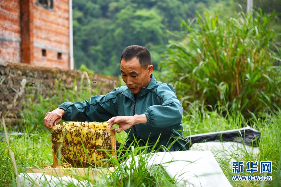 (兩會(huì)前夕看落實(shí)·圖文互動(dòng))(7)奮力脫貧攻堅(jiān) 生態(tài)追“清”逐“綠”——江西落實(shí)習(xí)近平總書(shū)記全國(guó)兩會(huì)重要講話精神紀(jì)實(shí)