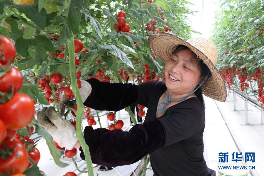 (兩會(huì)前夕看落實(shí)·圖文互動(dòng))(8)奮力脫貧攻堅(jiān) 生態(tài)追“清”逐“綠”——江西落實(shí)習(xí)近平總書(shū)記全國(guó)兩會(huì)重要講話精神紀(jì)實(shí)