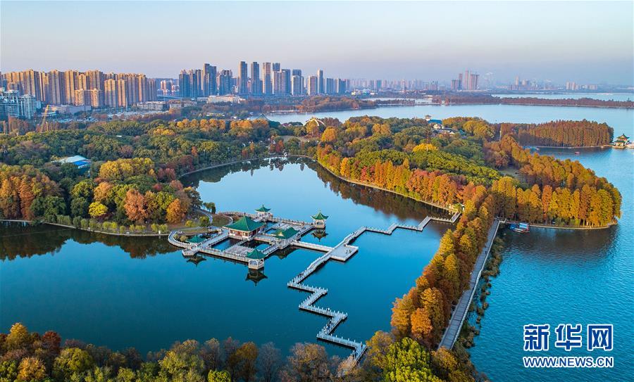 （兩會·圖文互動）（6）“這樣的綠道太贊了！”——代表委員熱議東湖綠道建設(shè)