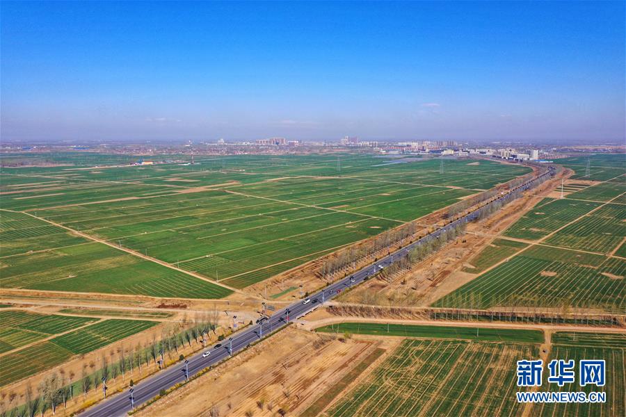 （新華全媒頭條&middot;圖文互動）（2）奮進(jìn)，向著未來之城！&mdash;&mdash;河北雄安新區(qū)建設(shè)發(fā)展兩周年紀(jì)實