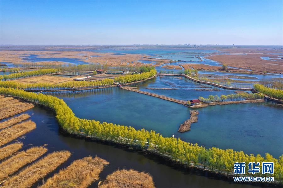 （新華全媒頭條&middot;圖文互動）（5）奮進(jìn)，向著未來之城！&mdash;&mdash;河北雄安新區(qū)建設(shè)發(fā)展兩周年紀(jì)實