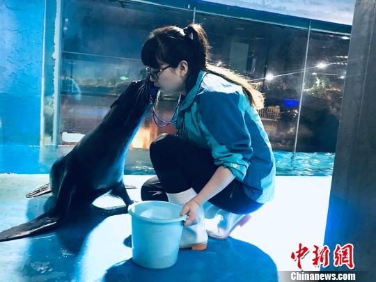 于雅麗與海獅親密瞬間?！“瑧c龍 攝