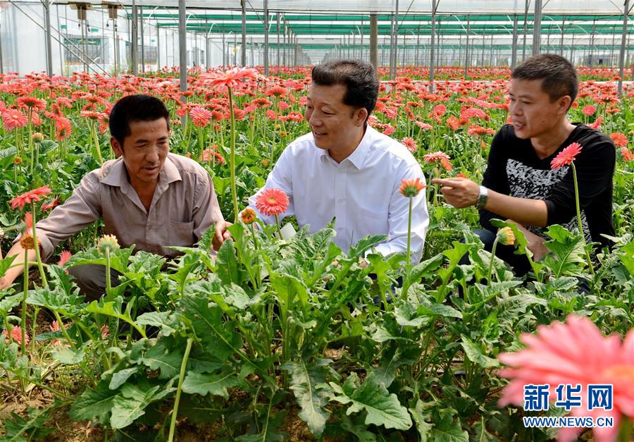 （新華全媒頭條·圖文互動）（6）鍛造領(lǐng)航復(fù)興的中流砥柱——寫在“不忘初心、牢記使命”主題教育即將啟動之際