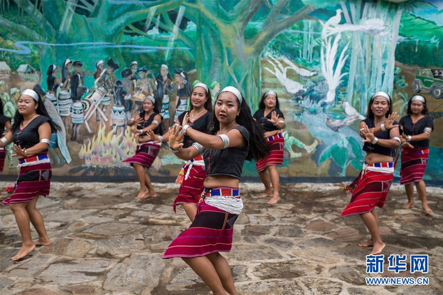 （直過民族脫貧攻堅&middot;圖文互動）（2）又見白鷴鳥