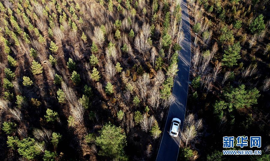 （壯麗70年&middot;奮斗新時代&middot;圖文互動）（12）毛烏素治理：眾志縛流沙 塞外展新顏