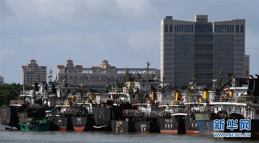 （社會(huì)）（1）?？冢捍盎馗郾芘_(tái)風(fēng)