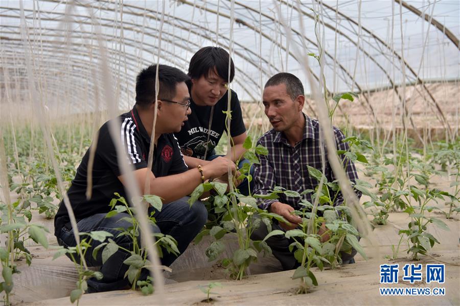 （新華全媒頭條&middot;圖文互動(dòng)）（10）同心援疆，&ldquo;壯闊&rdquo;祖國西北角