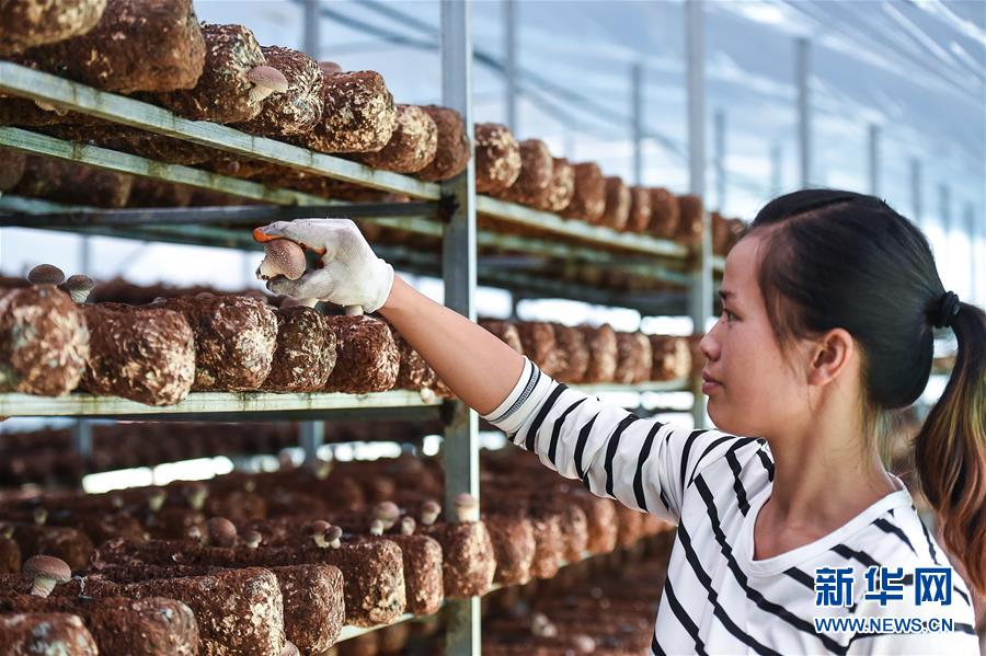 （壯麗70年&middot;奮斗新時代&mdash;&mdash;共和國發(fā)展成就巡禮&middot;圖文互動）（8）多彩貴州闖新路