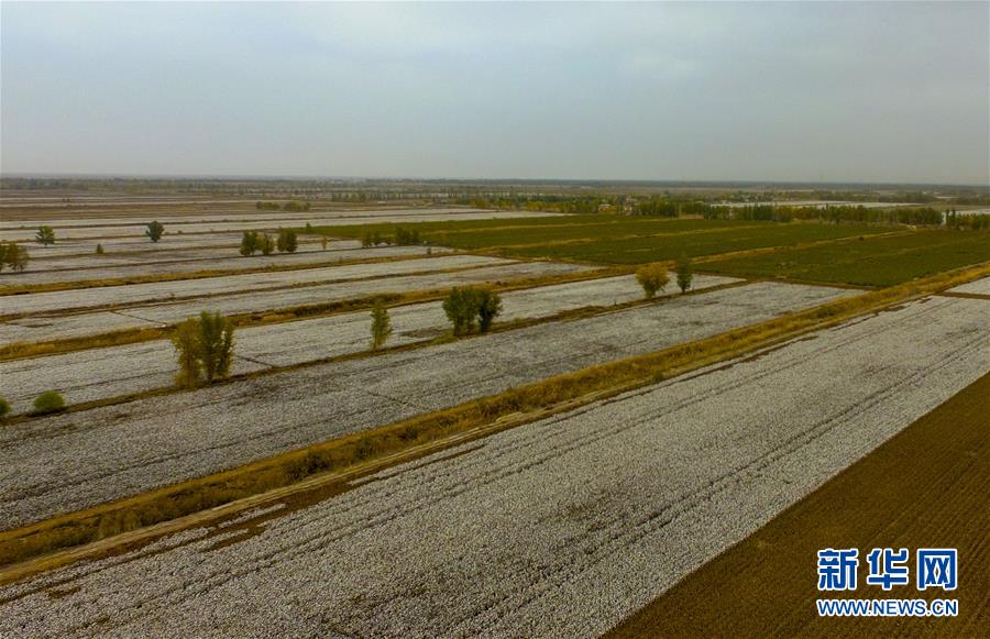 （壯麗70年&middot;奮斗新時(shí)代&mdash;&mdash;共和國(guó)發(fā)展成就巡禮&middot;圖文互動(dòng)）（1）鑄劍為犁造綠洲 安邊固疆筑&ldquo;長(zhǎng)城&rdquo;&mdash;&mdash;新疆生產(chǎn)建設(shè)兵團(tuán)維穩(wěn)戍邊改革發(fā)展紀(jì)實(shí)