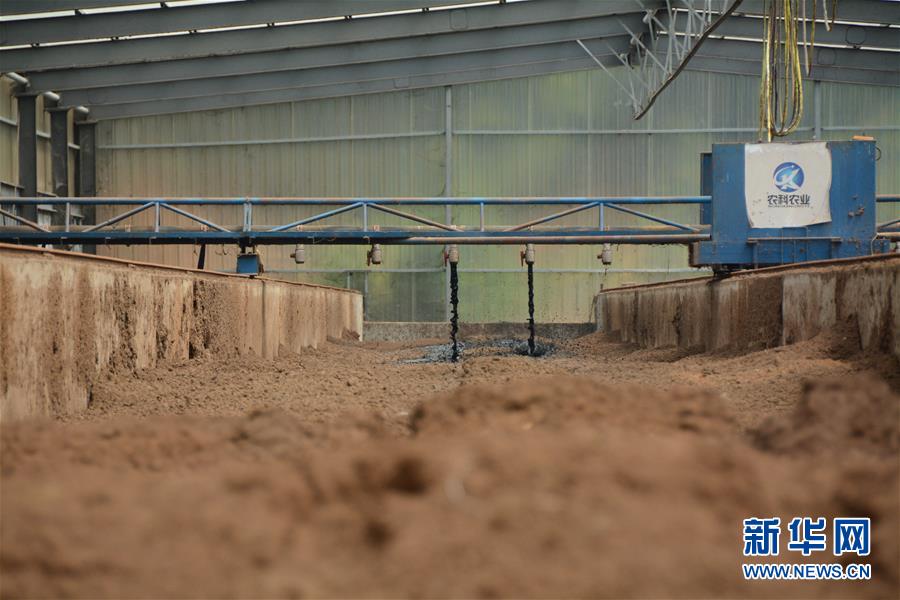 （在習(xí)近平新時代中國特色社會主義思想指引下&mdash;&mdash;新時代新作為新篇章&middot;總書記關(guān)心的百姓身邊事&middot;圖文互動）（5）大污染變身&ldquo;大寶藏&rdquo;：治理畜禽糞污，他們這樣干！