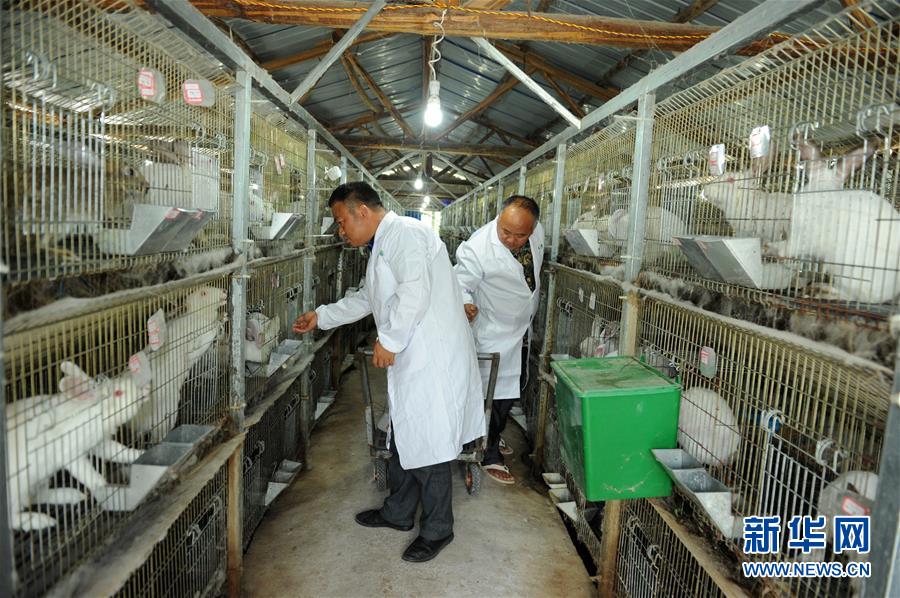 （新華全媒頭條&middot;圖文互動(dòng)）（4）干部去哪兒了？&mdash;&mdash;貴州干部大規(guī)模下沉脫貧攻堅(jiān)一線紀(jì)實(shí)