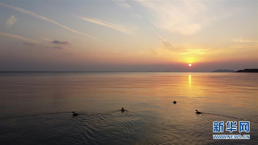 （新華全媒頭條&middot;圖文互動(dòng)）（4）大湖見(jiàn)證&mdash;&mdash;長(zhǎng)三角三大淡水湖綠色發(fā)展之路