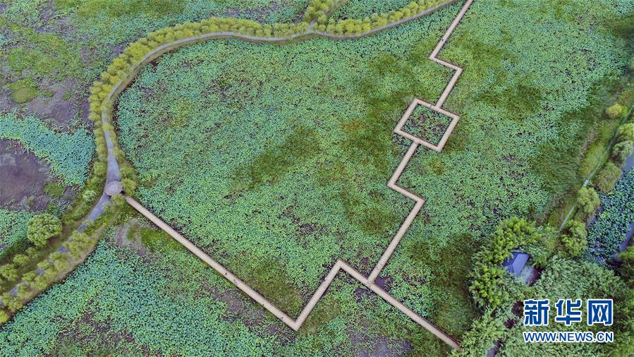 （新華全媒頭條&middot;圖文互動(dòng)）（9）大湖見(jiàn)證&mdash;&mdash;長(zhǎng)三角三大淡水湖綠色發(fā)展之路