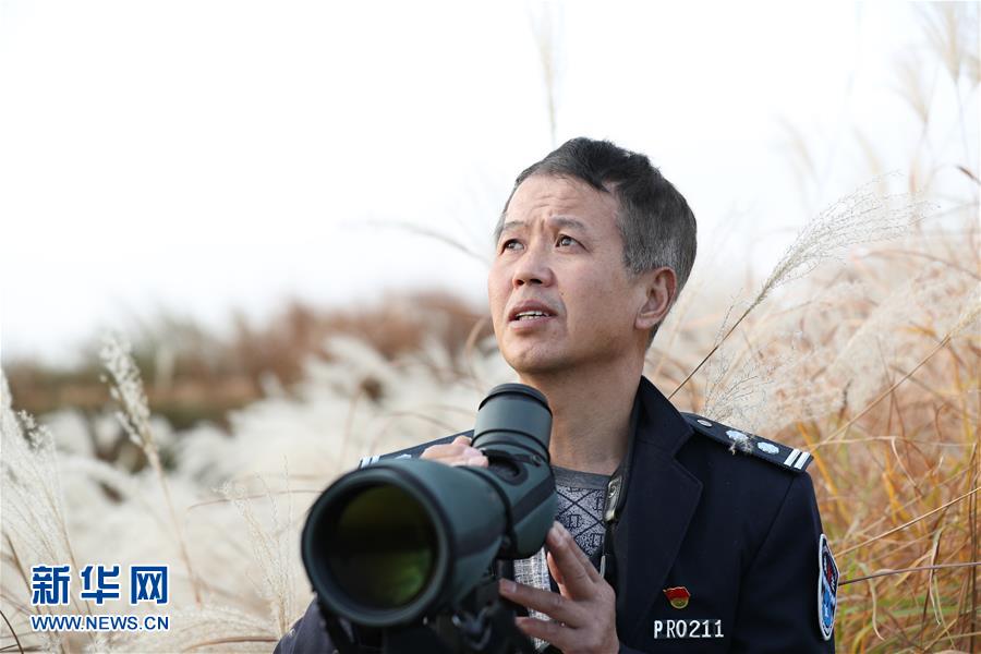 （新春走基層&middot;圖文互動(dòng)）他們，默默守護(hù)候鳥(niǎo)