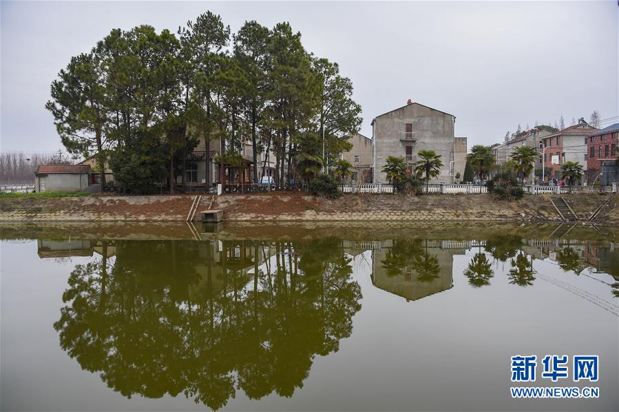 (聚焦疫情防控·圖文互動)(3)一個湖北村莊的阻擊戰(zhàn)