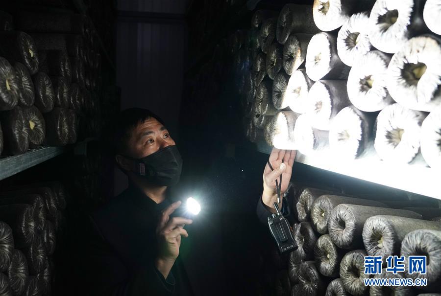 （決戰(zhàn)決勝脫貧攻堅&middot;圖文互動）（4）秦巴山區(qū)：戰(zhàn)疫戰(zhàn)貧，兩場仗都要打贏